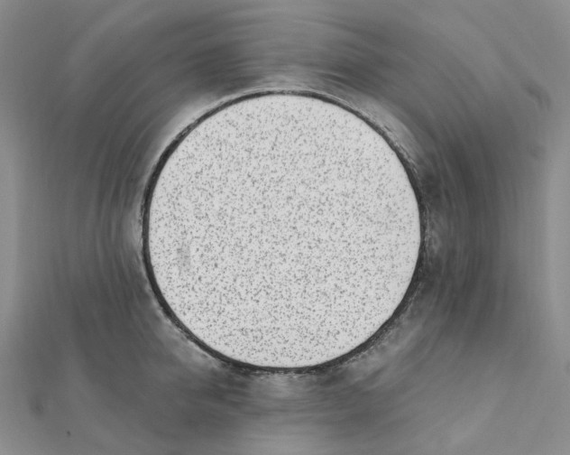 X0000112080950200908251101