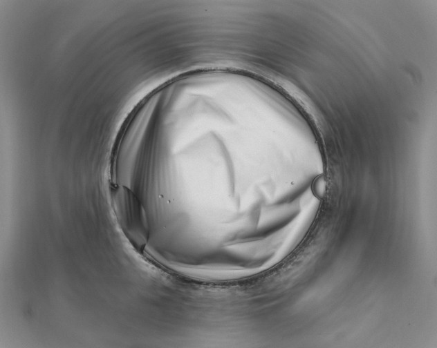 X0000112080951200908251101