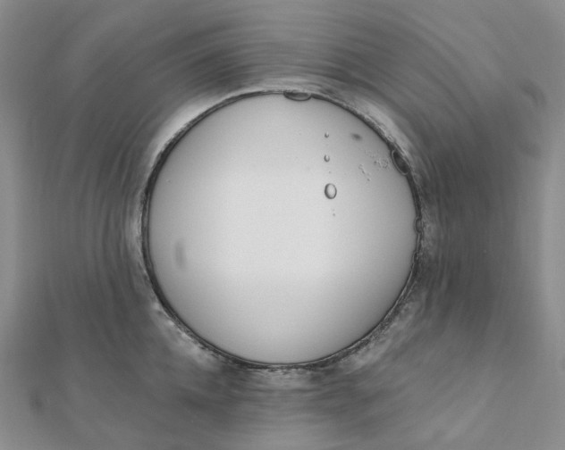 X0000112080952200908251101