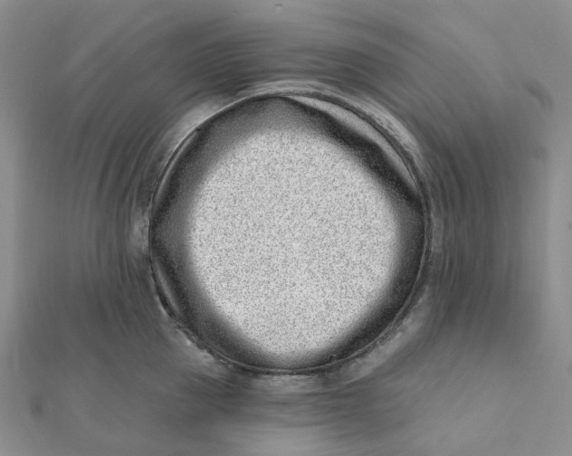 X0000112080953200908251101