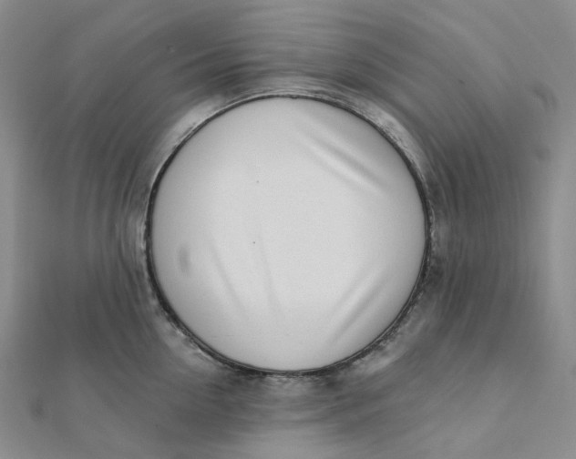 X0000112080954200908251101