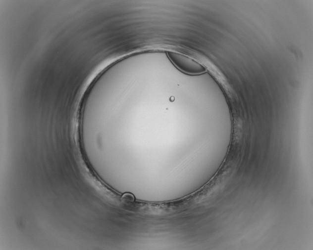 X0000112080955200908251101