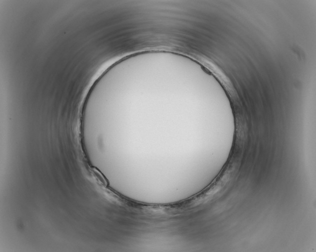 X0000112080956200908251101