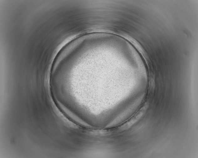 X0000112080957200908251101