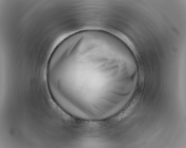 X0000112080958200908251101