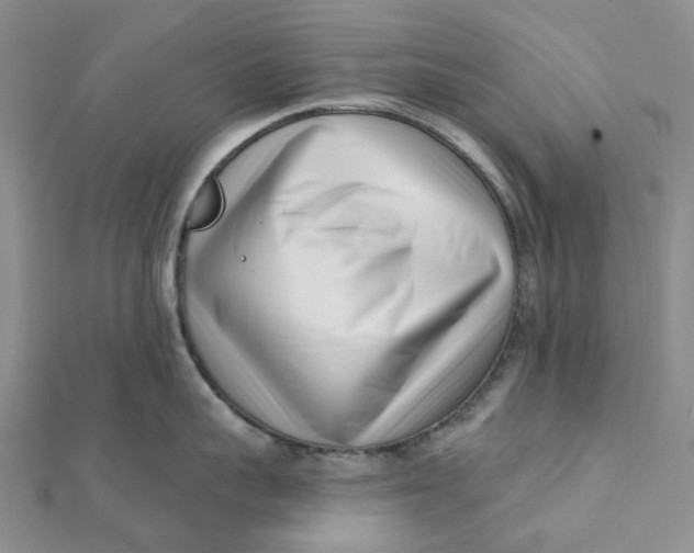 X0000112080959200908251101