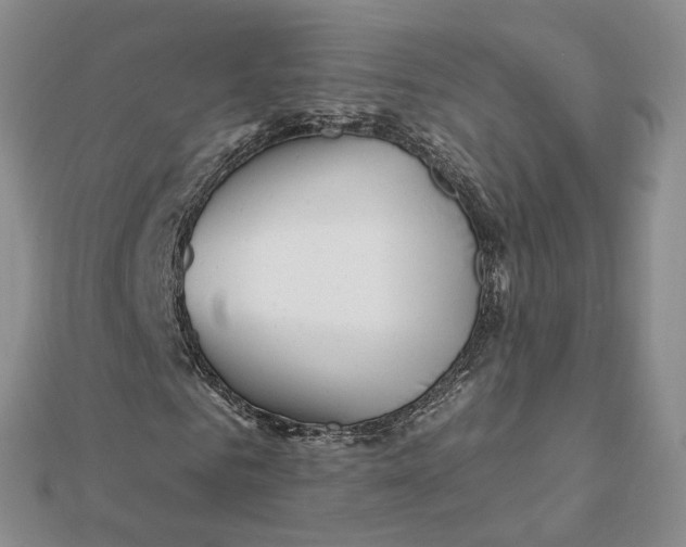 X0000112080961200908251101