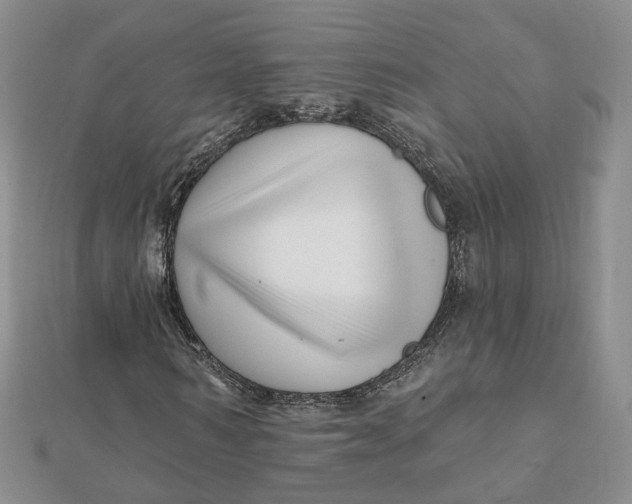 X0000112080962200908251101