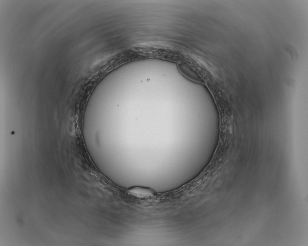 X0000112080965200908251101