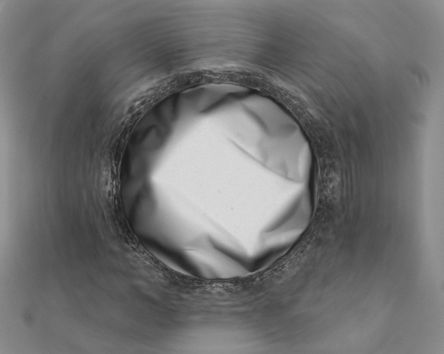 X0000112080966200908251101