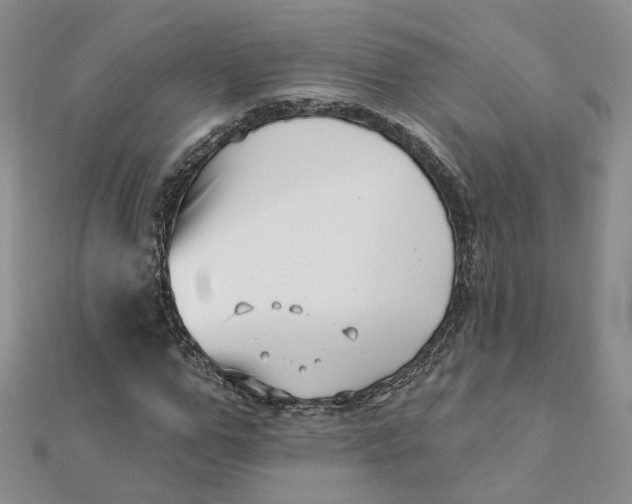 X0000112080967200908251101