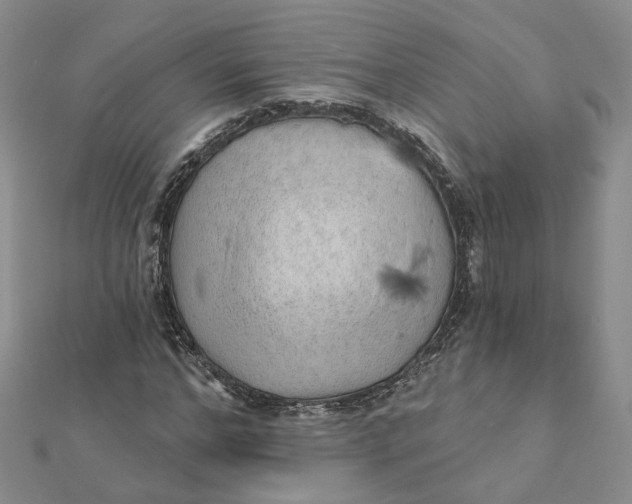 X0000112080968200908251101