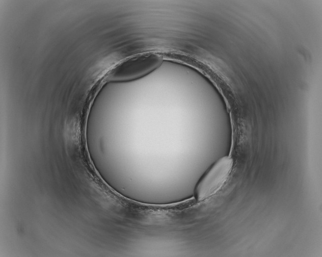 X0000112080969200908251101