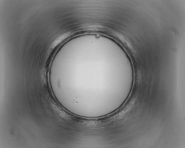 X0000112080970200908251101