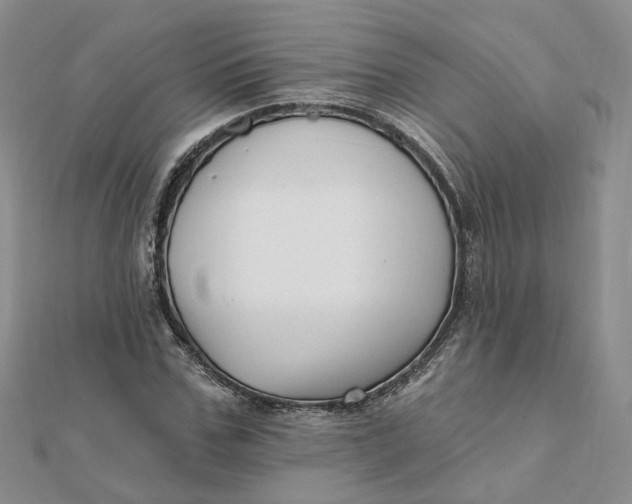 X0000112080971200908251101