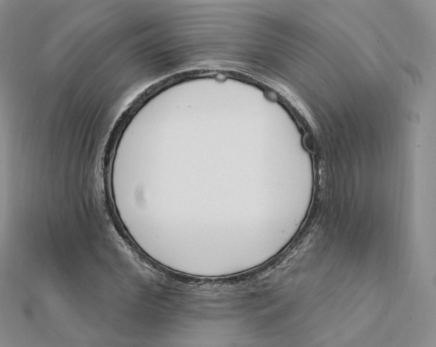 X0000112080972200908251101