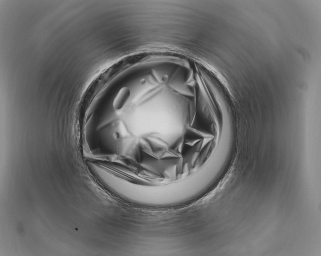 X0000112080973200908251101