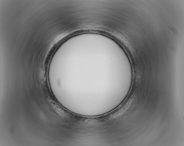 X0000112080974200908251101