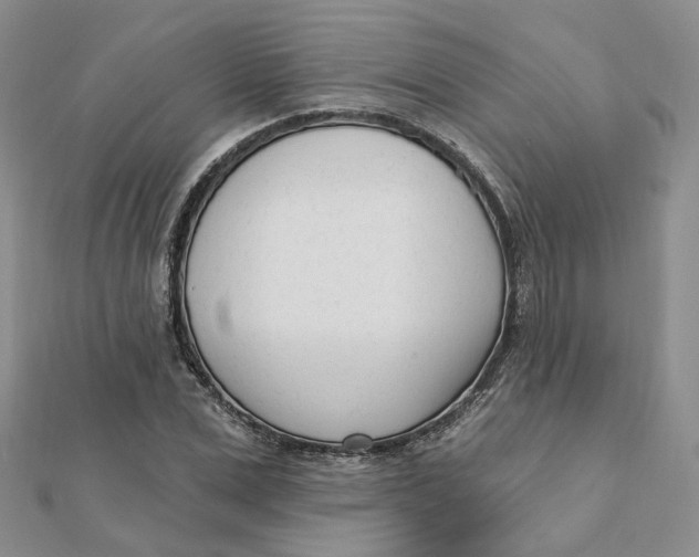 X0000112080975200908251101