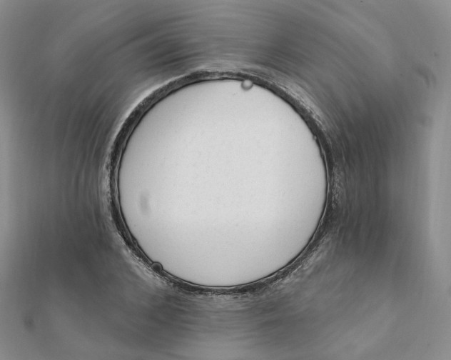 X0000112080976200908251101