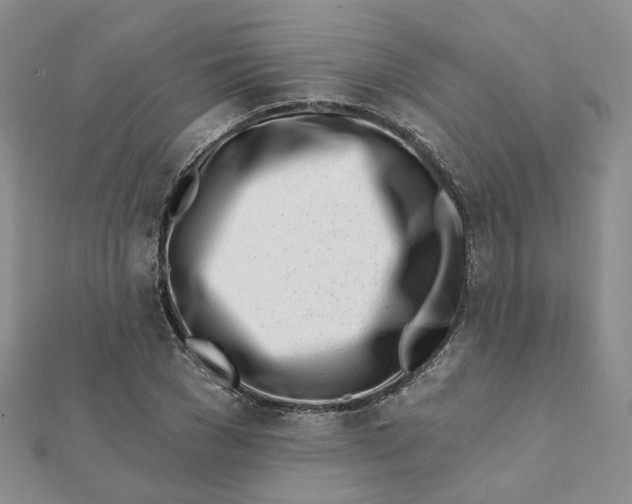 X0000112080977200908251101