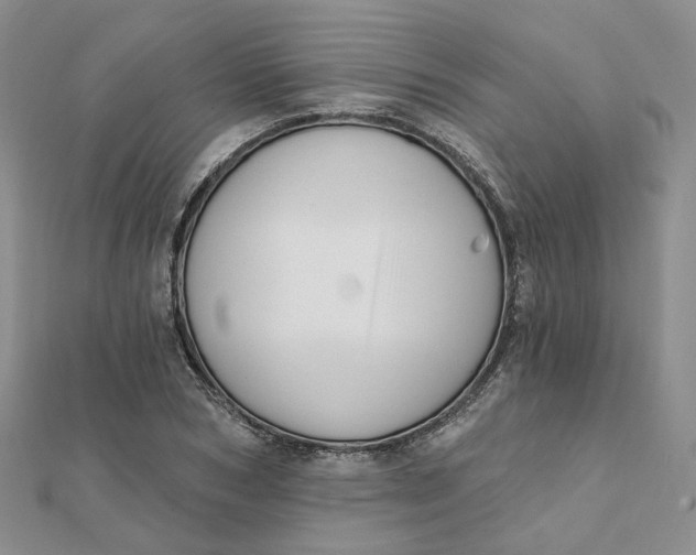 X0000112080978200908251101