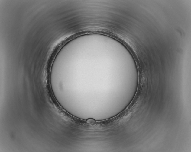 X0000112080979200908251101