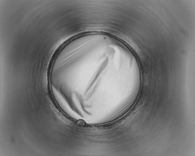 X0000112080980200908251101