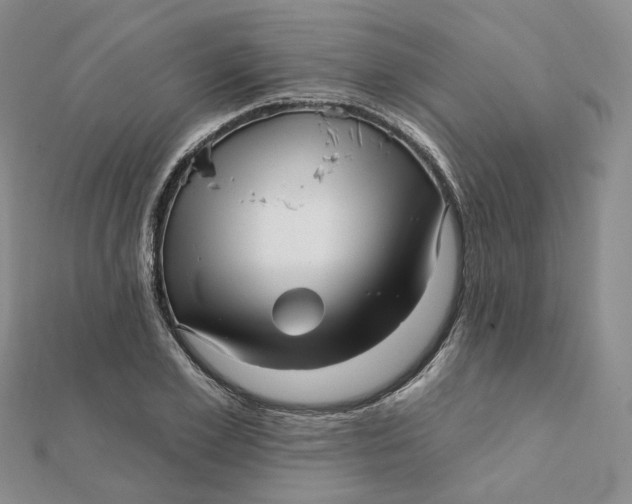 X0000112080981200908251101