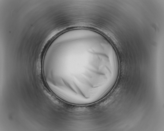 X0000112080982200908251101