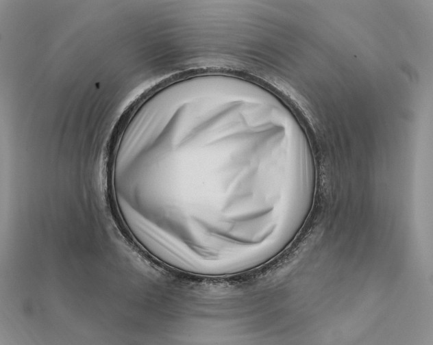 X0000112080983200908251101