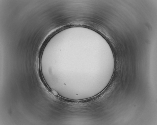 X0000112080984200908251101