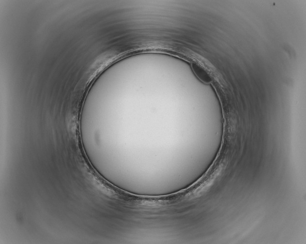 X0000112080985200908251101