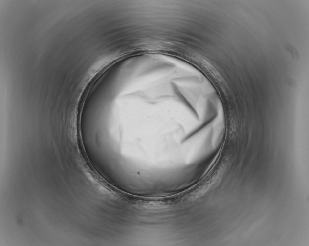 X0000112080986200908251101