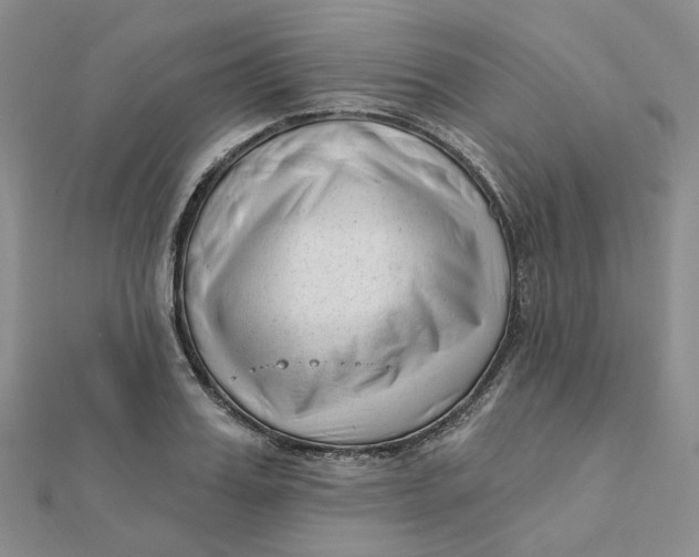 X0000112080987200908251101