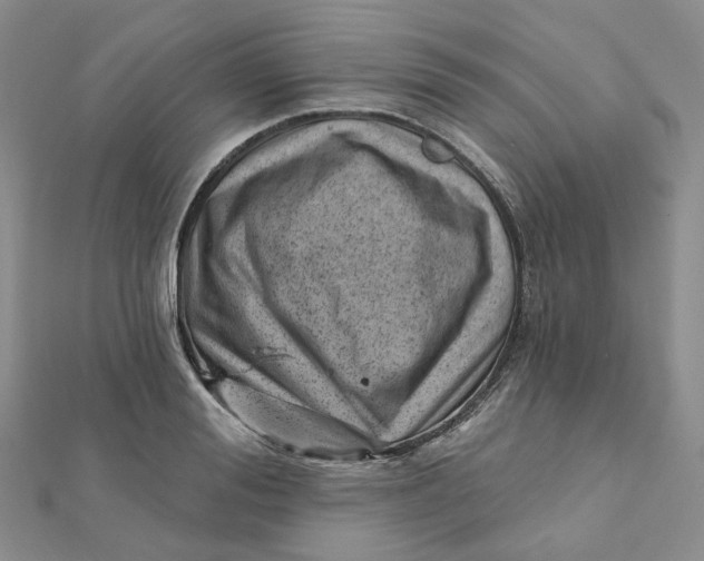 X0000112080988200908251101