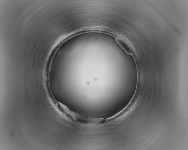 X0000112080989200908251100