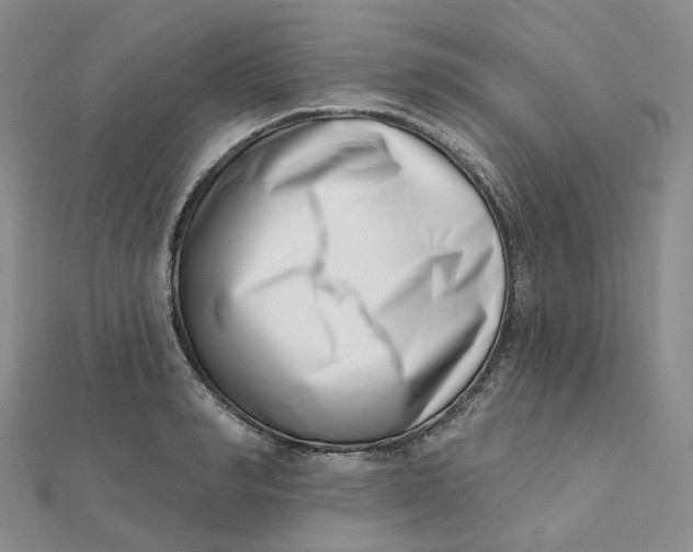 X0000112080990200908251100