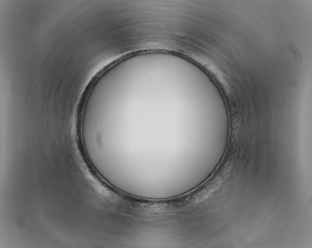 X0000112080991200908251100