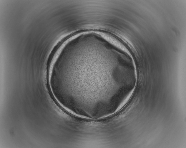 X0000112080992200908251100