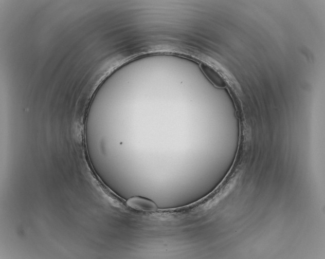 X0000112080993200908251100