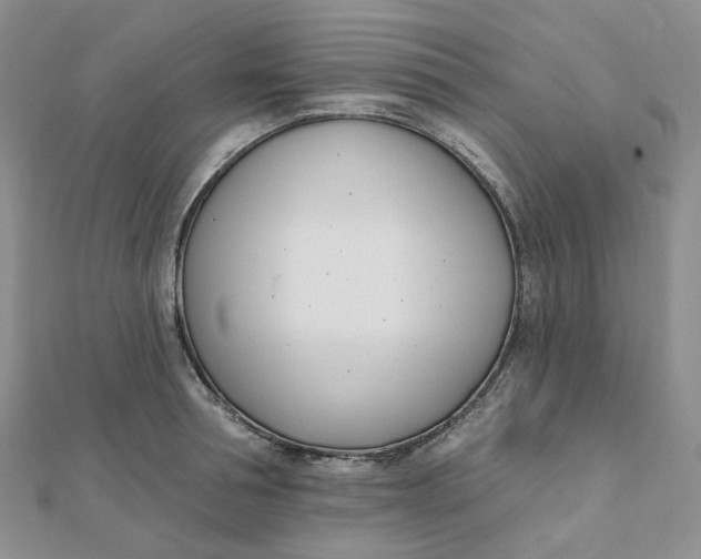 X0000112080994200908251100