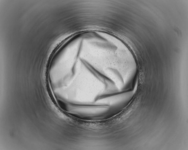 X0000112080995200908251100