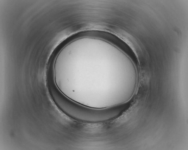 X0000112080997200908251100