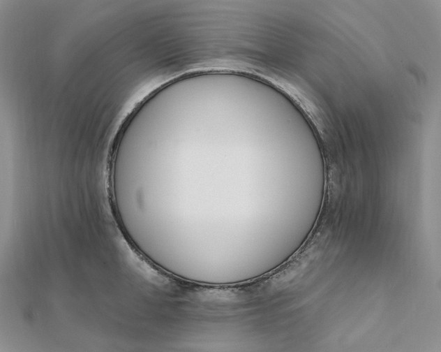 X0000112080998200908251100