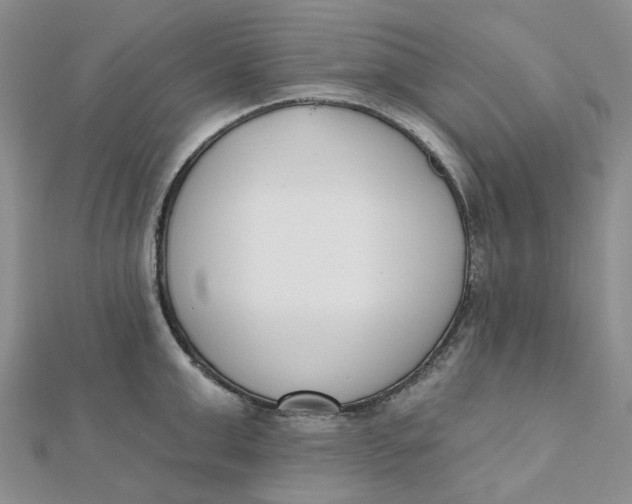 X0000112080999200908251100