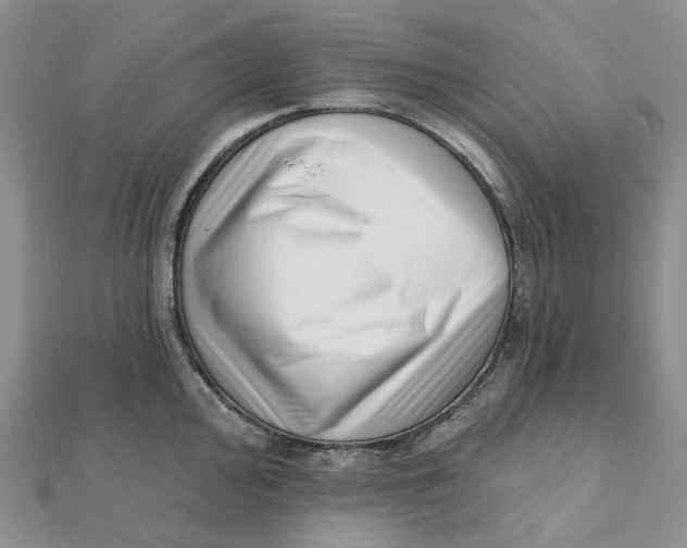 X0000112081000200908251100