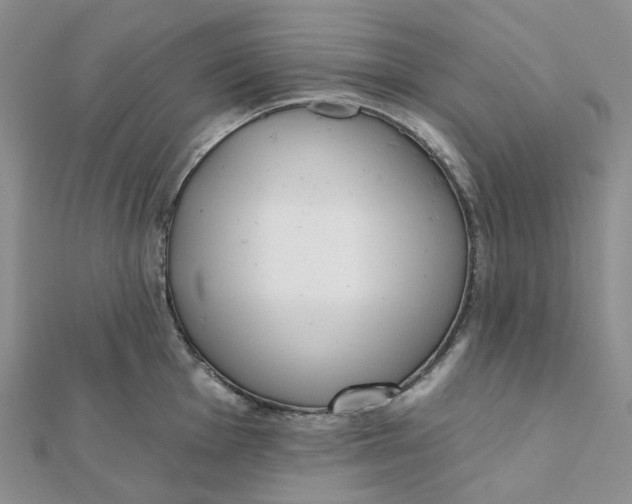 X0000112081001200908251100