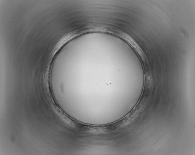 X0000112081002200908251100