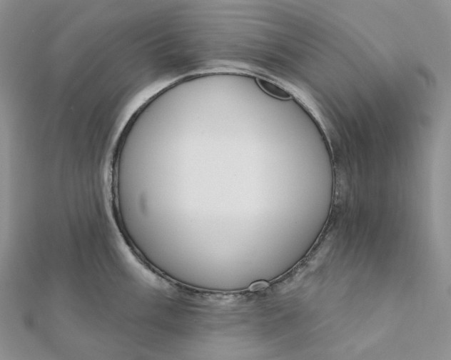 X0000112081003200908251100